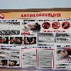 превью услуг изготовление стендов по противодействию коррупции